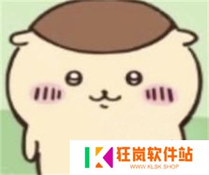 ChiikawaPocket