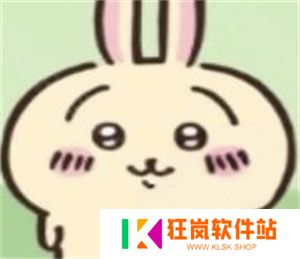 ChiikawaPocket