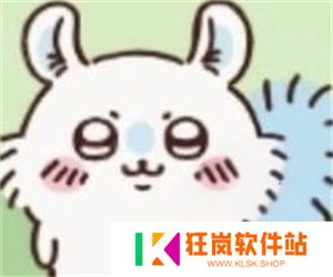 ChiikawaPocket