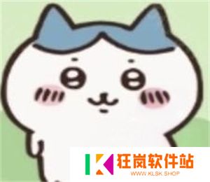 ChiikawaPocket