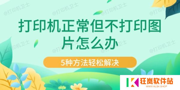 打印机正常但不打印图片怎么办