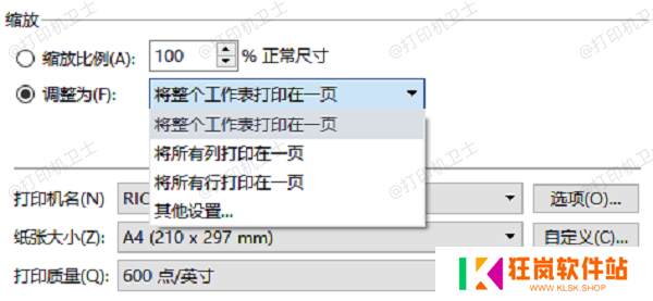 在打印设置中调整尺寸