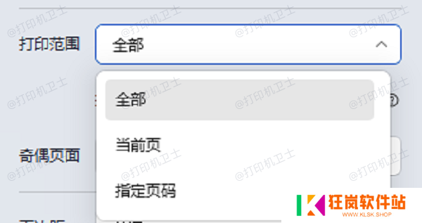 检查打印设置