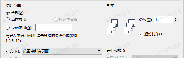检查打印选项是否启用了页码区域